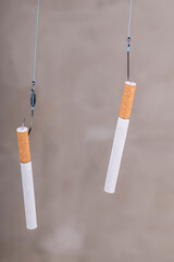 cigarettes on fish hooks. wooden background in retro style. dependence on cigarettes.