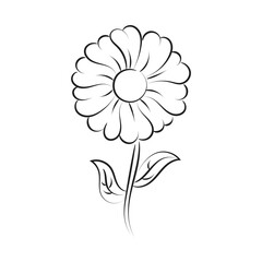 Black silhouettes, flowers and herbs isolated on white background. Hand drawn sketch flower