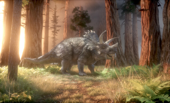 Triceratops dinosaur in the forest.