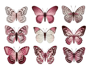 Collection of pink butterflies on a white background. Vector illustration.