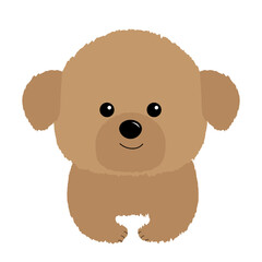 Maltipoo Bichon Frise Maltese dog puppy face head. White lapdog. Animal icon set. Cute kawaii cartoon funny character. Pet animal collection. Adopt concept. Flat design. White background.