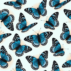 Pattern with butterflies. Blue butterflies flying in different directions.