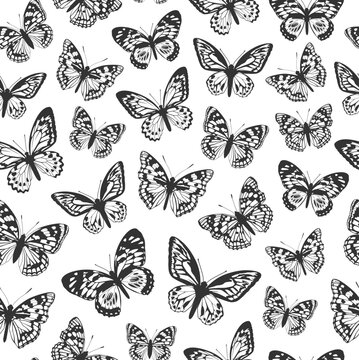Black butterflies on a white background. Pattern with butterflies.