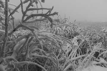 Winter in der Rhön- Schneebedeckte Gebirgslandschaft 7