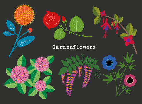 Garden flowers 