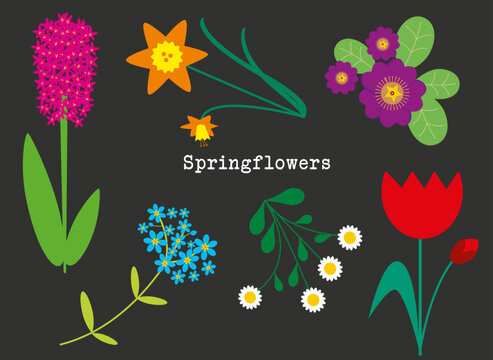 Springflowers - Vector flowers in Spring
