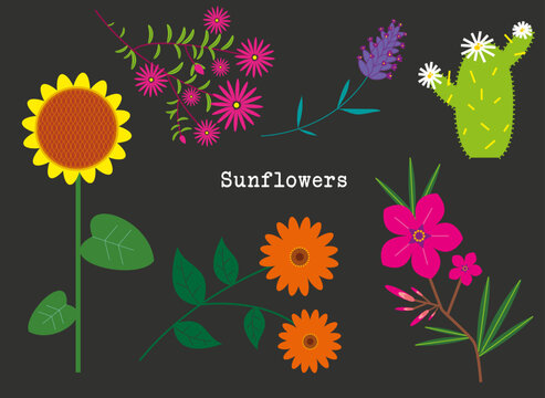 Sunflowers - vector flowers in summer