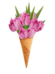 Pink tulips bouquet in a waffle cup separately on a white background, digital freehand drawing.