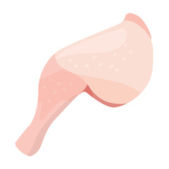 Vector illustration of chicken thigh.