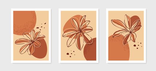 Set of abstract minimalist botanical for wall decoration, posters and covers. vector design.