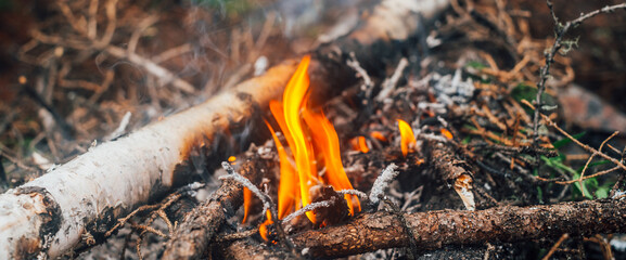 Burning branches and brushwood in fire close-up. Atmospheric warm background with orange flame of campfire and blue smoke. Beautiful full frame image of bonfire. Firewood burns in vivid flames.