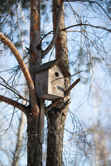 birdhouse hanging in rustic winter forest