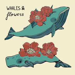 Beautiful whales and flowers blooming illustration in vector