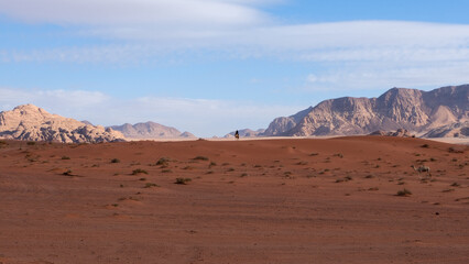 Bedouin person riding a camel in the vast wilderness of Arabian Wadi Rum desert with red sandy terrain and rugged mountains in the distance, Jordan, Middle East