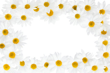 Beautiful white Daisy, Marguerite, chamomile frame isolated on white background with including clipping path. Full Depth of field, Full, Depth of field, Focus, stacking, dof. PNG