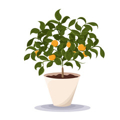 Tangerine tree. Home plant in the minimalistic pot. Home decor and gardening concept. Cute isolated vector illustration for product design and decoration