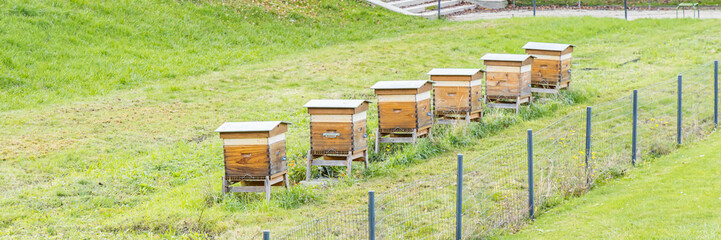 Wooden hives boxes in the grass of the Tuileries garden in Paris, France