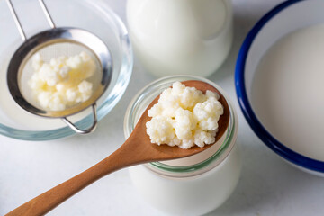 Kefir fermented milk drink with kefir grains. Homemade kefir stands in a glass, next to kefir grains and milk