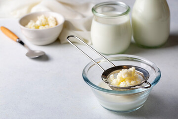 Kefir fermented milk drink with kefir grains. Homemade kefir stands in a glass, next to kefir grains and milk
