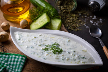 Traditional delicious appetizer; tzatziki (Turkish name; cacik)