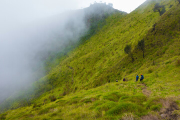 Obraz premium Savanna on Mount Merbabu and some hikers on descend foothpath