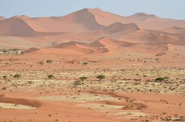 Fototapeta na wymiar Dunes at Sossusvlei NP, Namib desert, Namibia