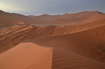 Fototapeta na wymiar Walking on the dunes of Sossusvlei NP, Namibia
