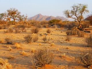 Beautiful scenery at Sossusvlei NP, Namibia