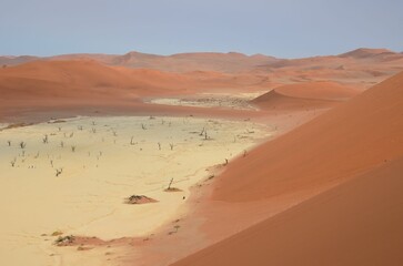 Dead trees at Sossusvlei National Park, Namibia