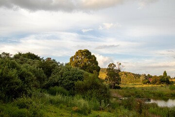 Tree-covered hill with a lake and a jetty at the bottom of it