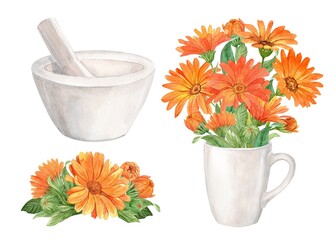 White mortar for herbs and calendula flowers. Preparation of herbal tea, tonic. The concept of phytotherapy, laboratory. Composition for the label design of home ecological products. Watercolor. - obrazy, fototapety, plakaty