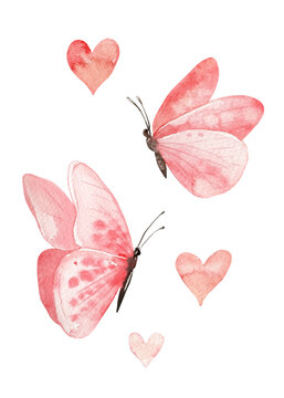 Pink butterfly, heart on isolated white background. Watercolor hand drawn illustration