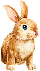 Cute baby rabbit, drawing bunny, animal on isolated white background. Watercolor hand drawn illustration