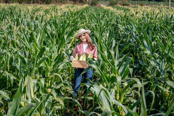 Happy asian woman farmer wearing a red shirt,hat and white gloves.she carrying corn basket agricultural in smart farm corn fielded before are exported to market is agricultural business concept.