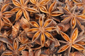 Star anise is the seed pod from the fruit of the Illicium verum plant on background isolate