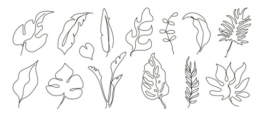Outline minimalist tropical leaves set. One continuous line art tropic leaf collection. Monstera, banana, philodendron foliage. Vector hand drawn black illustration isolated on white background