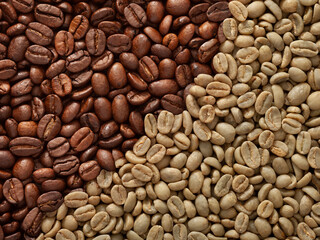 Top view macro photography shot of a blend of green raw un-roasted coffee beans and roasted coffee beans