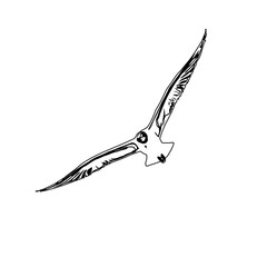 Black and white sketch of a flying bird with transparent background