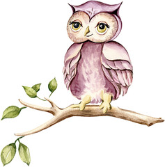 Cute little owl sitting on a bough. Woodland baby Forest Animal. Watercolor illustration isolated on transparent background