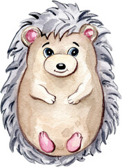 Cute little hedgehog. Woodland baby Forest Animal. Watercolor illustration isolated on transparent background