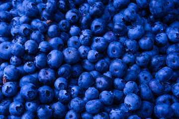 Fresh blueberry background. Texture blueberry berries close up.