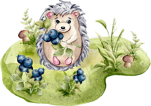 Cute little hedgehog on the green lawn. Woodland baby Forest Animal. Watercolor illustration isolated on transparent background