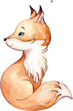 Cute little fox. Woodland baby Forest Animal. Watercolor illustration isolated on transparent background