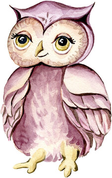 Cute little owl. Woodland baby Forest Animal. Watercolor illustration isolated on transparent background