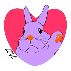 Rabbit in a heart