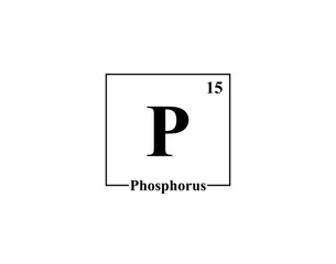 Phosphorus icon vector. 15 P Phosphorus