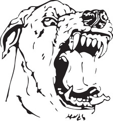 T^te de chien