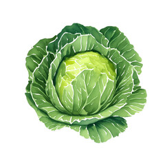 digital drawing with watercolor style illustration