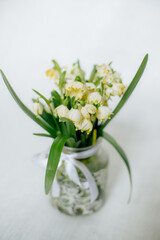 bouquet of snowdrops