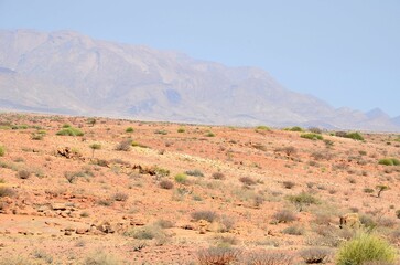 Landscape near Brandberg mountain, Namib desert